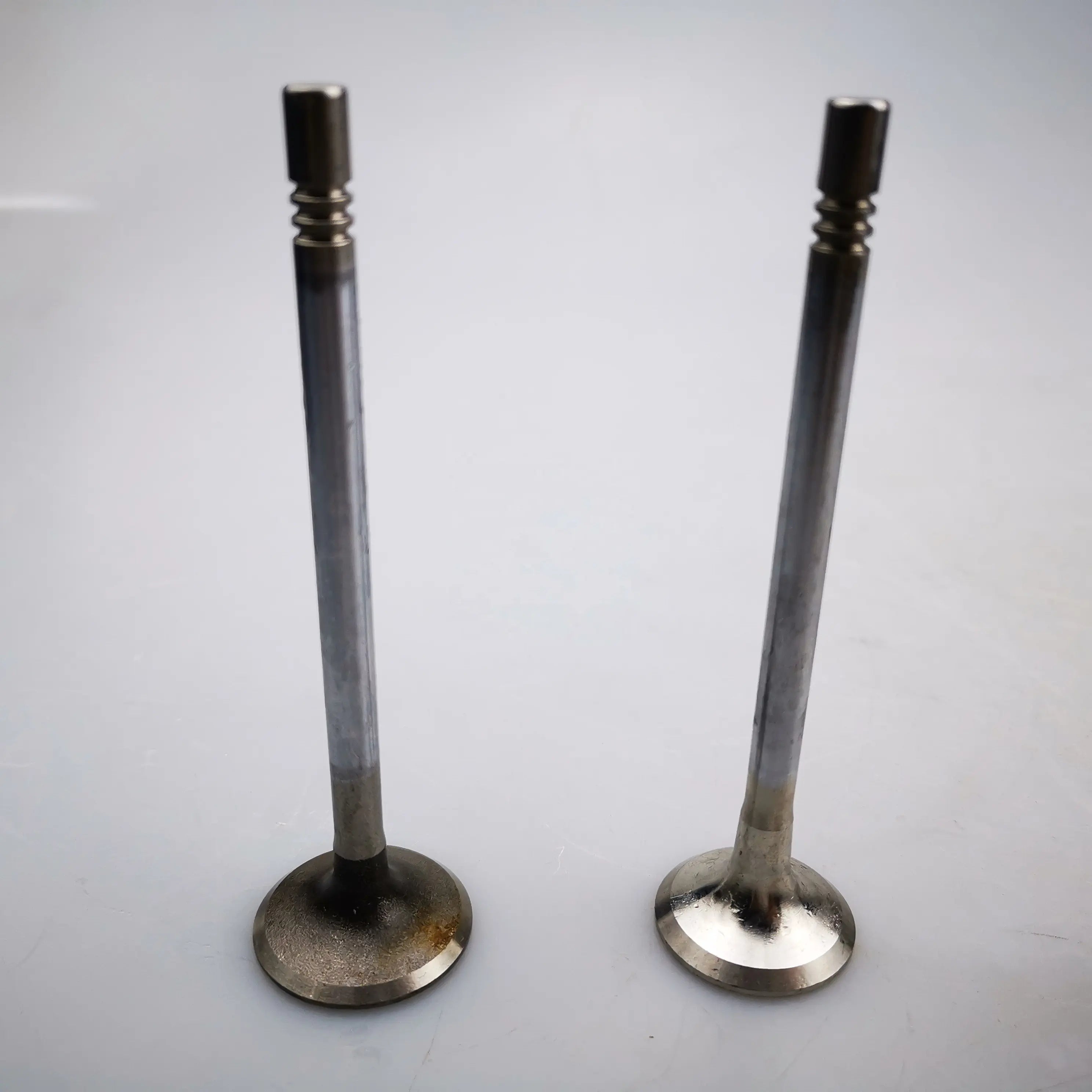 MA1185 | LDV MAXUS T60, V80, D90, G10 Original Intake Valve C00111121